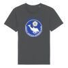 Rocker the essential unisex t-shirt (STTU758) Thumbnail